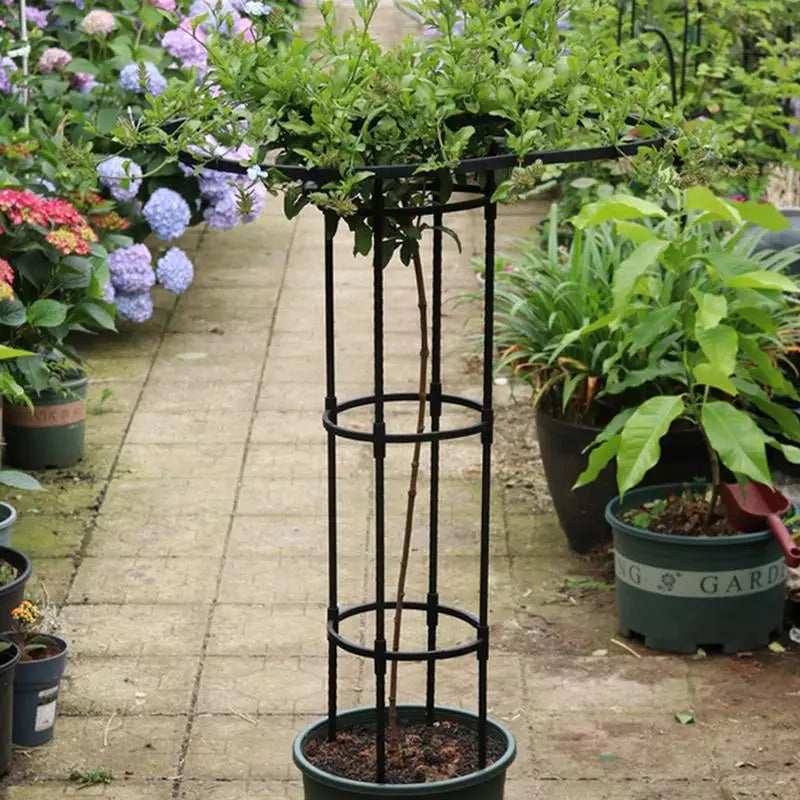 Indoor Trellis Detachable Garden Obelisk