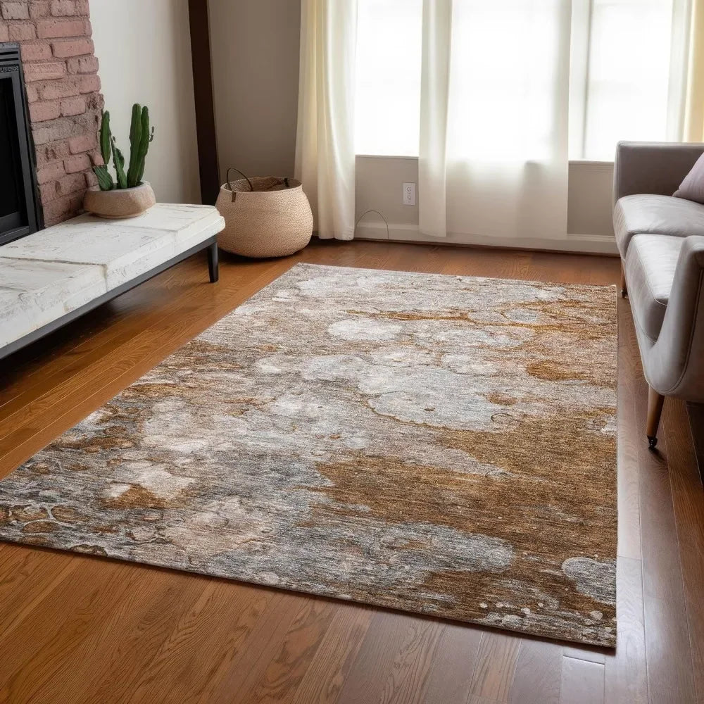 Entry Living Room Rug