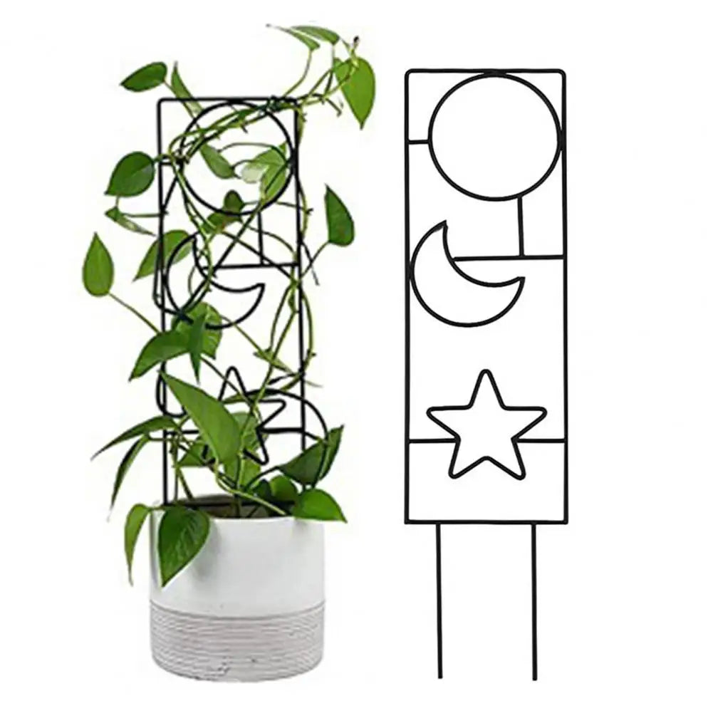 Variety Shaped Orchid Plant Stakes - DJ Home Goods