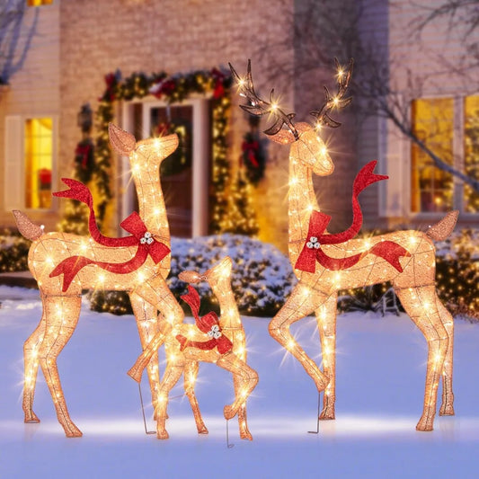 3-Piece Lit Christmas Reindeer Family Set